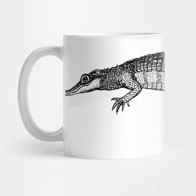 Alligator by linesdesigns